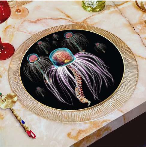 Single Cell No 1. Dinner Plate