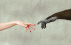 Hand of God Exhibit Mount Metal Print