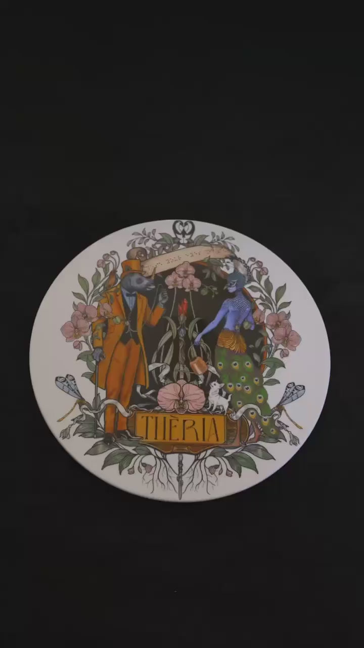 Instruction Video