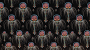 Single Cell No. 1 Waltz Wallpaper